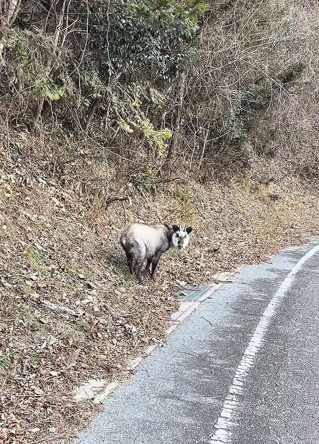 忘れた頃にやってくるのよ！