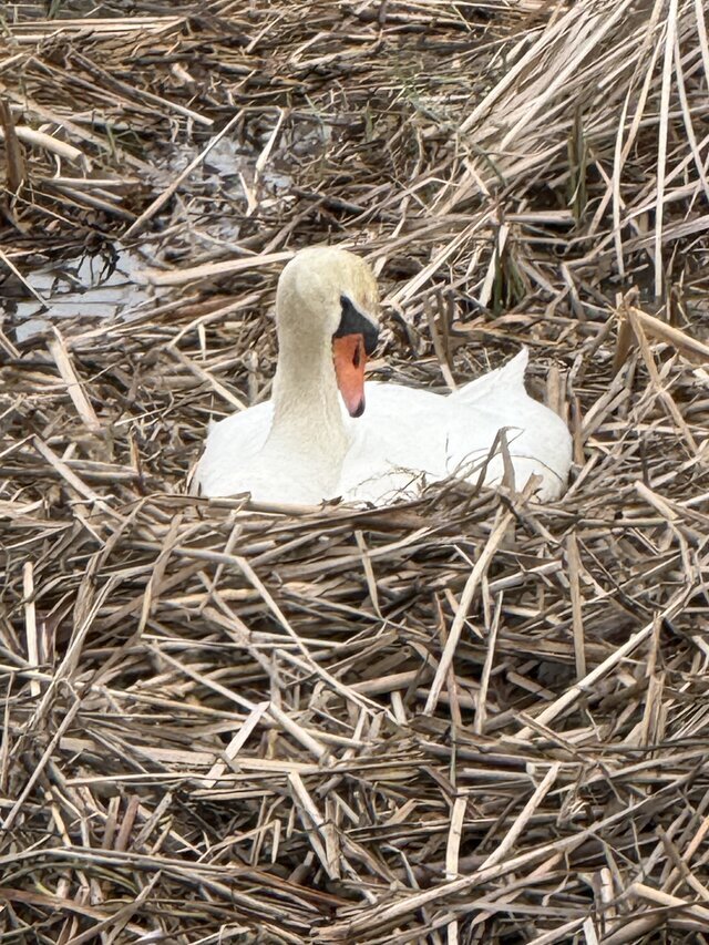 病院は長いわね〜
