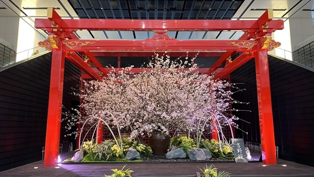 プライベートが忙しいわ！｜写メ日記｜まりか｜鶯谷 人妻デリヘル 人妻花かんざし