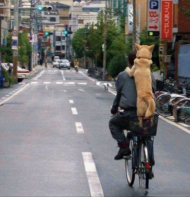 今日もサザエさん(ﾟ∀ﾟ)☆｜写メ日記｜まりか｜鶯谷 人妻デリヘル 人妻花かんざし