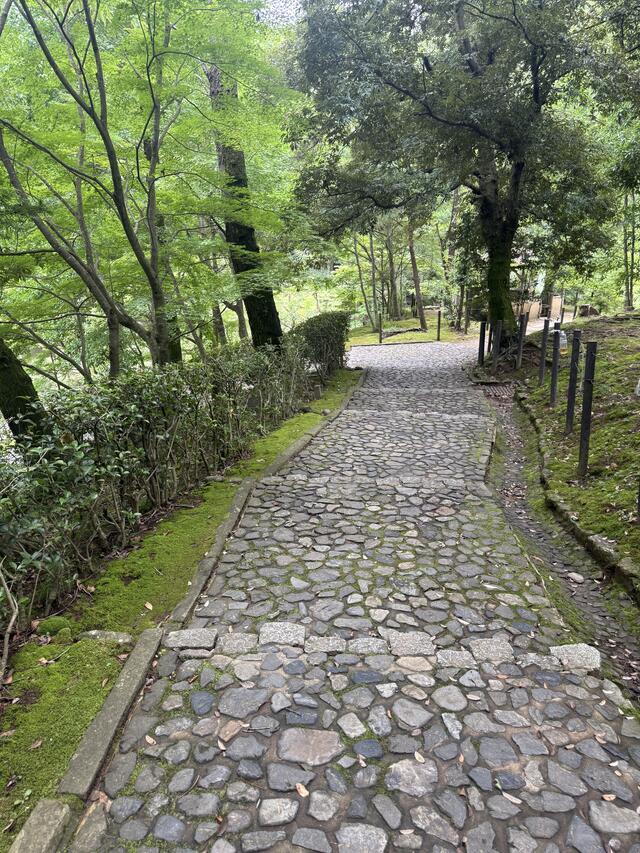パンプスの中まで雨が入り込んでるのよ！