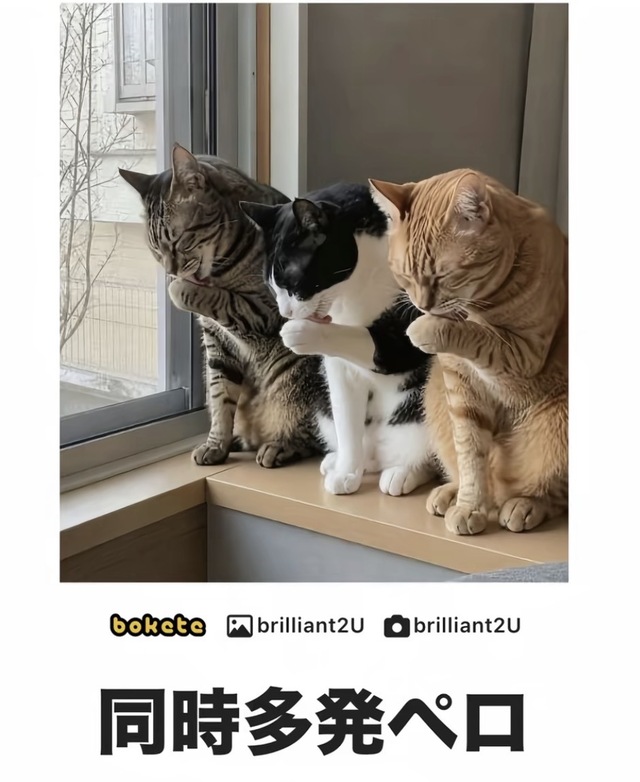 今月からは大忙しよ(ﾟ∀ﾟ)♪