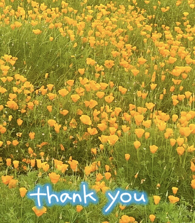 5月のお礼🌸