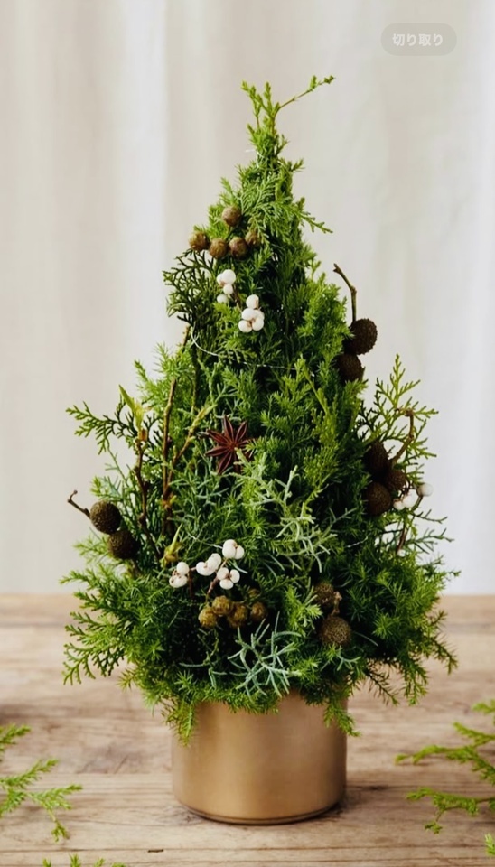 たまには😅｜写メ日記｜かおり｜鶯谷 人妻デリヘル 人妻花かんざし