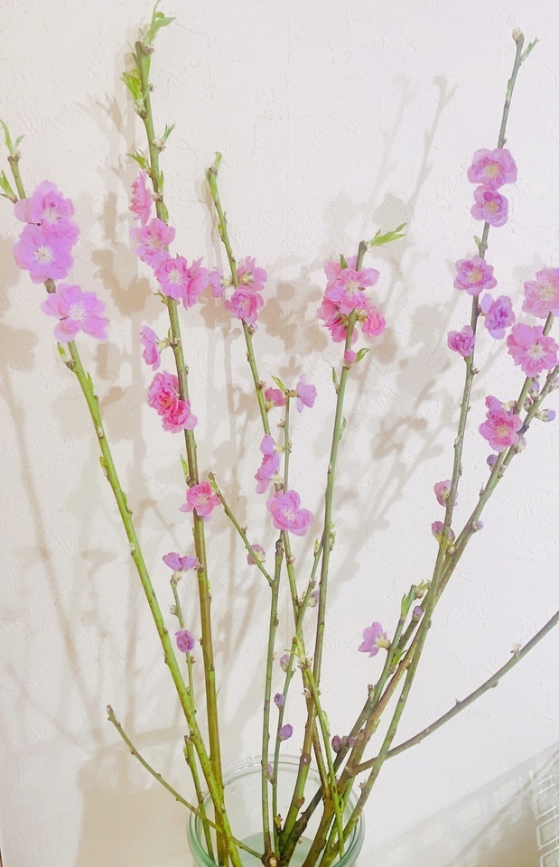 お休みは😊｜写メ日記｜かおり｜鶯谷 人妻デリヘル 人妻花かんざし