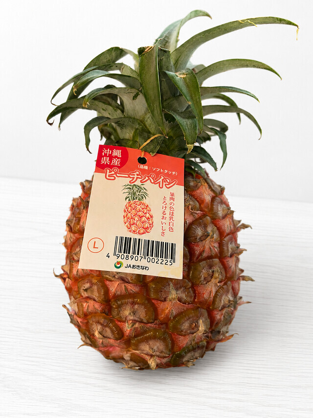 ありがとう😆