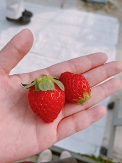 テスト｜写メ日記｜なな｜鶯谷 人妻デリヘル 人妻花かんざし