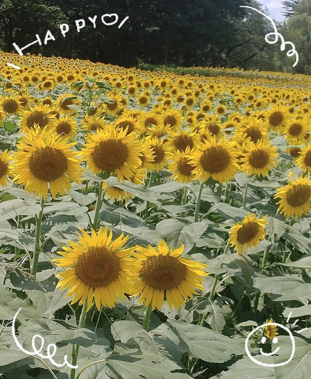 いよいよ・・🏖️🌻🎐｜写メ日記｜さやか｜鶯谷 人妻デリヘル 人妻花かんざし