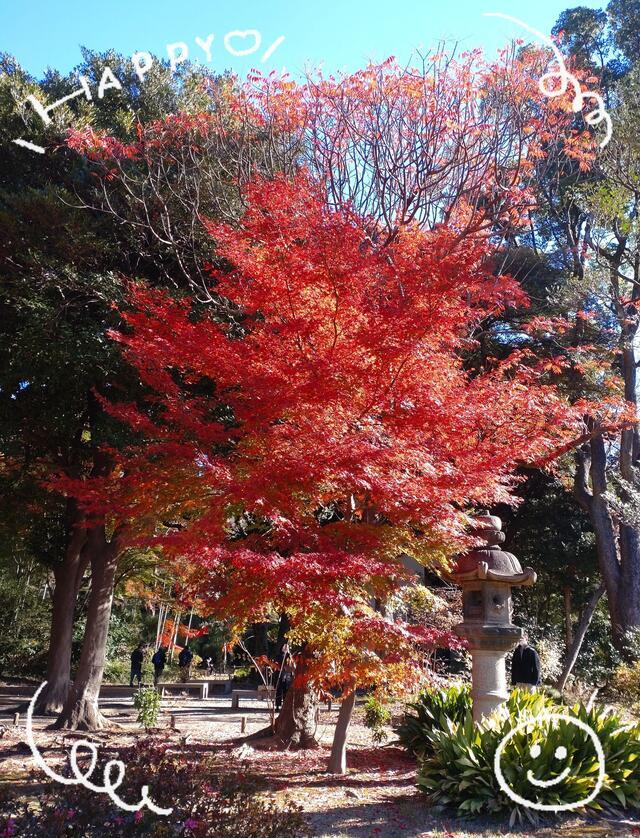 有難うございました💕