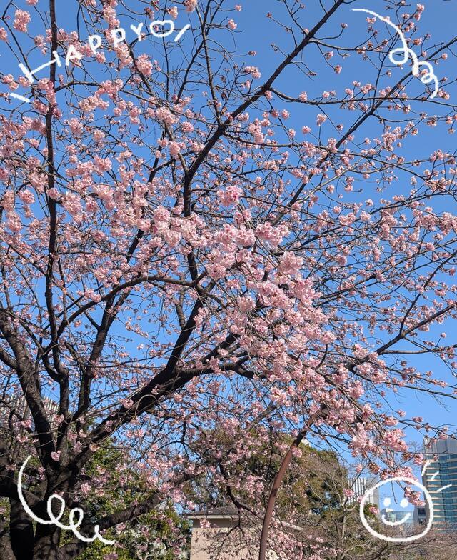 リフレッシュ出来た日曜日🌸✨｜写メ日記｜さやか｜鶯谷 人妻デリヘル 人妻花かんざし