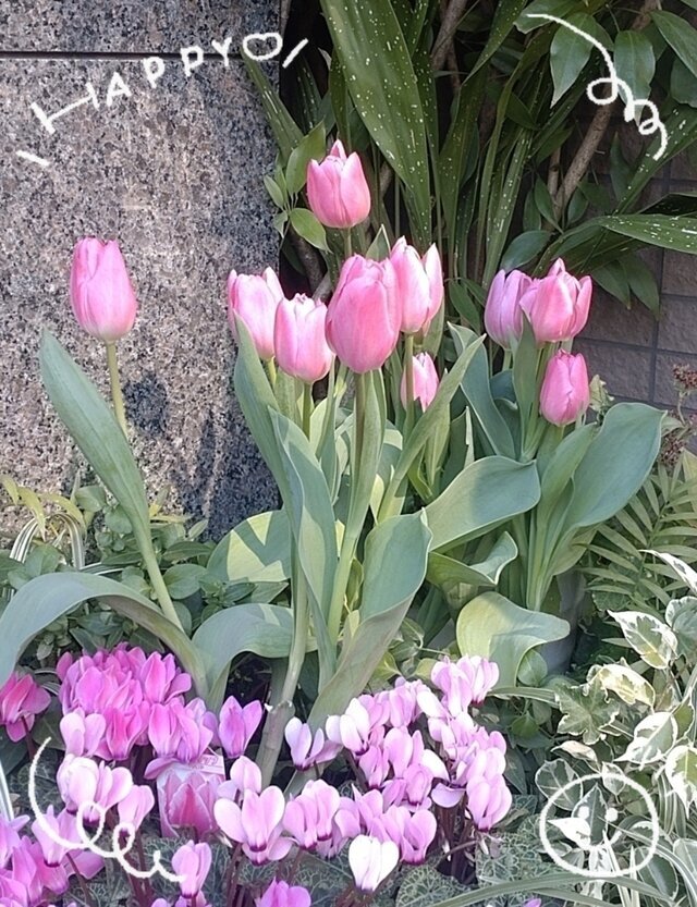 今週もスタート✨｜写メ日記｜さやか｜鶯谷 人妻デリヘル 人妻花かんざし