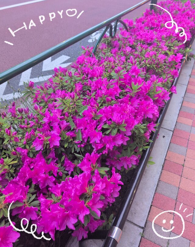 有難うございました🩷