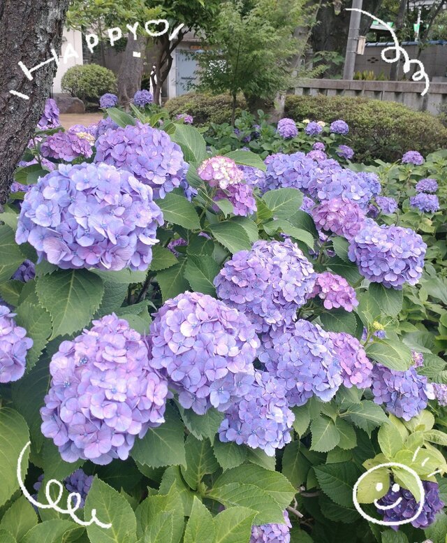 来週の出勤予定💕