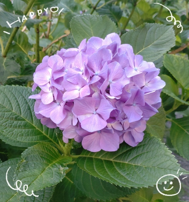 有難うございました💕