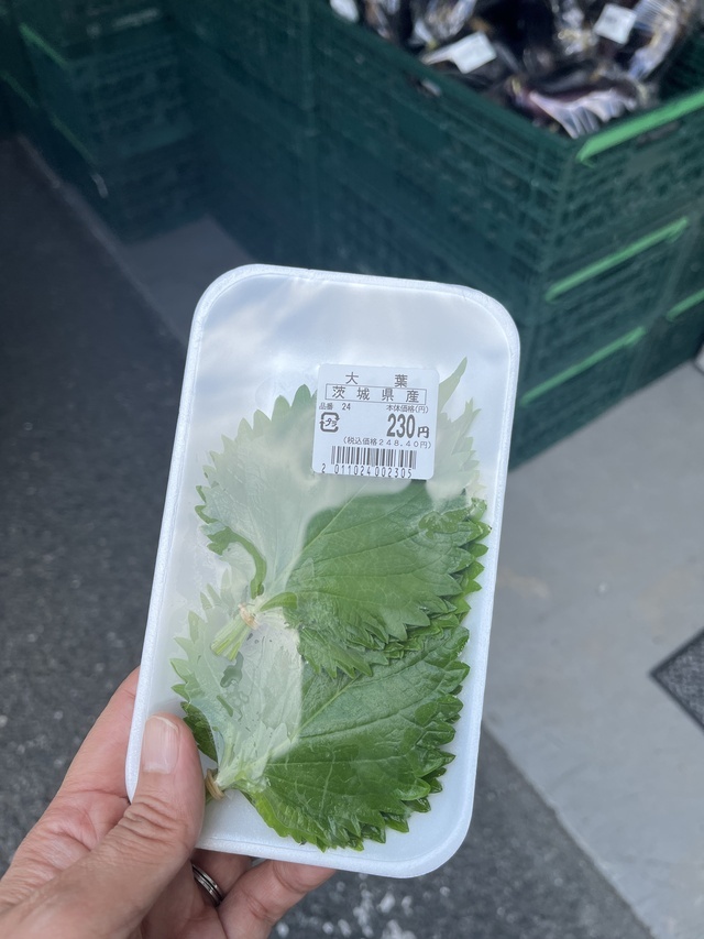 お高いのです｜写メ日記｜あおい｜鶯谷 人妻デリヘル 人妻花かんざし