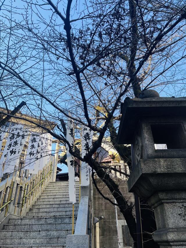 八百万の神々｜写メ日記｜あおい｜鶯谷 人妻デリヘル 人妻花かんざし