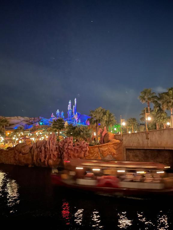 ディズニー大好き❤️