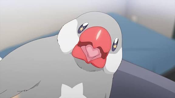 なーにしてるのっ？