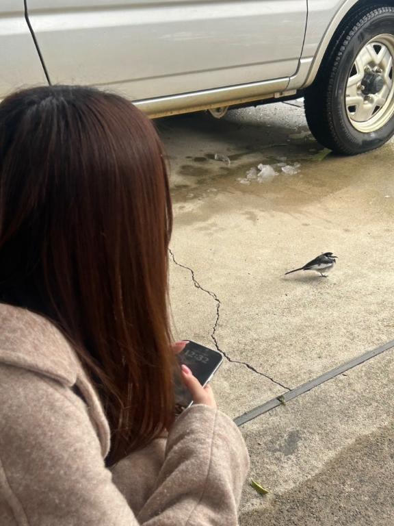 お久しぶりです