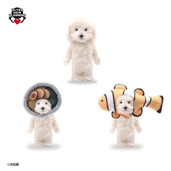 らふぃおら｜写メ日記｜いちか★SS級！女子アナの卵★｜鶯谷 一般デリヘル 鶯谷Tiara～ティアラ～