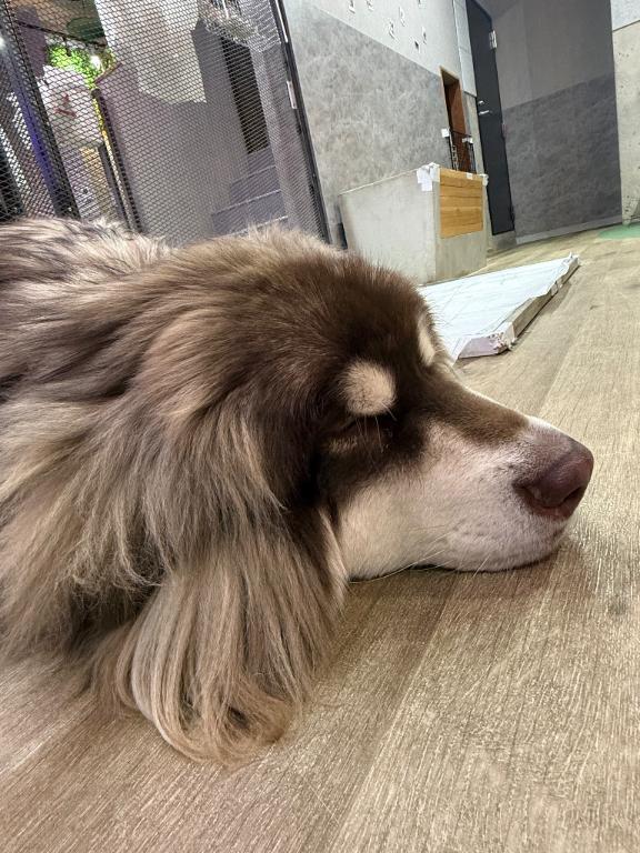 そんなことある！？｜写メ日記｜いちか★SS級！女子アナの卵★｜鶯谷 一般デリヘル 鶯谷Tiara～ティアラ～