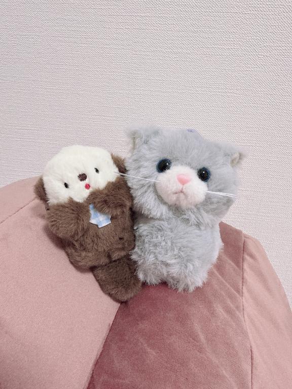 予定！｜写メ日記｜いちか★SS級！女子アナの卵★｜鶯谷 一般デリヘル 鶯谷Tiara～ティアラ～