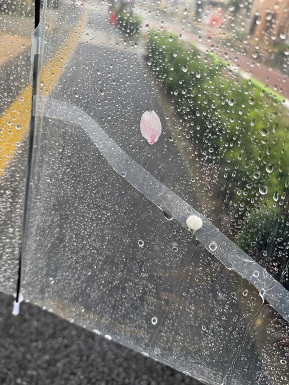 １ヶ月⁉️｜写メ日記｜いちか★SS級！女子アナの卵★｜鶯谷 一般デリヘル 鶯谷Tiara～ティアラ～