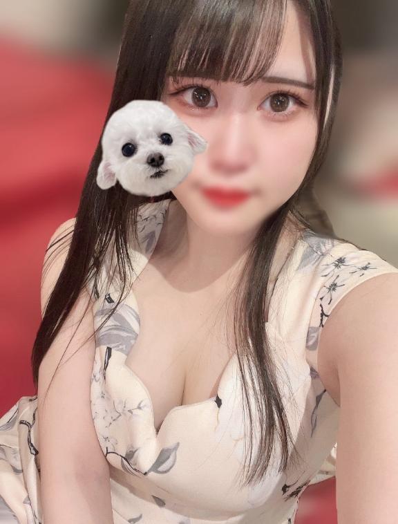 今日🐰｜写メ日記｜のあ★前田敦子似の清純派美女★｜鶯谷 一般デリヘル 鶯谷Tiara～ティアラ～