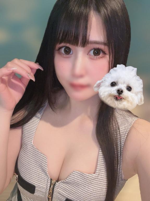 久々にいます！｜写メ日記｜のあ★前田敦子似の清純派美女★｜鶯谷 一般デリヘル 鶯谷Tiara～ティアラ～