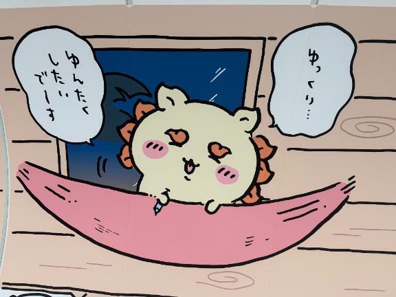 おはようございます 🦤
