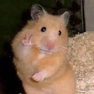 ✨️✌️ありがとっ✌️✨️