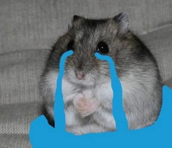 2日間ありがとう😭🐹💕｜写メ日記｜かなで★女子高育ちの箱入り娘★｜鶯谷 一般デリヘル 鶯谷Tiara～ティアラ～
