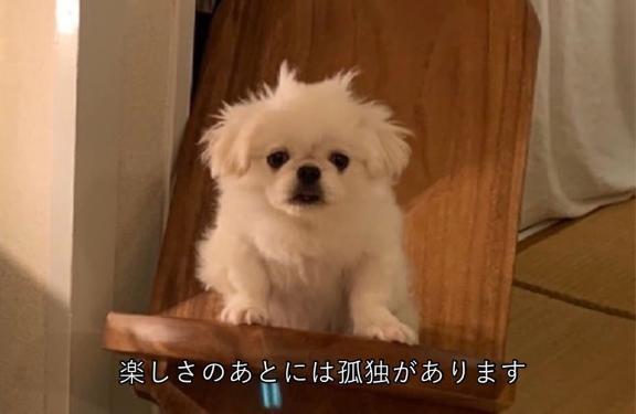 【次回予告】｜写メ日記｜とあ★SS級Gカップヒロイン★｜鶯谷 一般デリヘル 鶯谷Tiara～ティアラ～