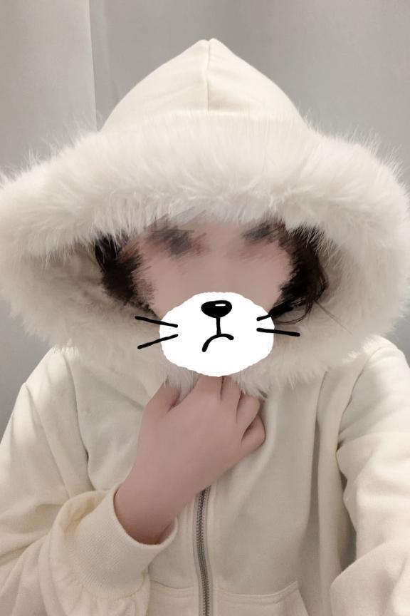 もふもふ𐔌՞⁔ •𖥦•⁔՞𐦯︎︎◝✩
