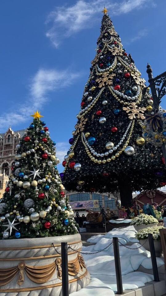 クリスマス🎅｜写メ日記｜まこ★超王道ロリ＆理想の彼女★｜鶯谷 一般デリヘル 鶯谷Tiara～ティアラ～
