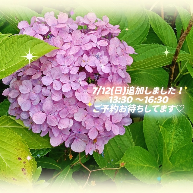 またまた