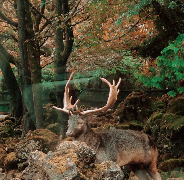 おはようございます✨