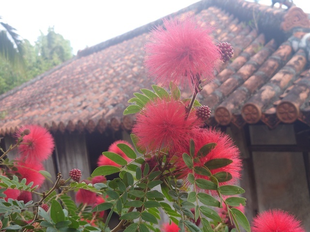 こんにちは🍓｜写メ日記｜サラ｜大塚・巣鴨 人妻デリヘル オトナのマル秘最前線!!