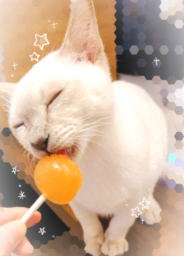 こんにちは🌹｜写メ日記｜サラ｜大塚・巣鴨 人妻デリヘル オトナのマル秘最前線!!