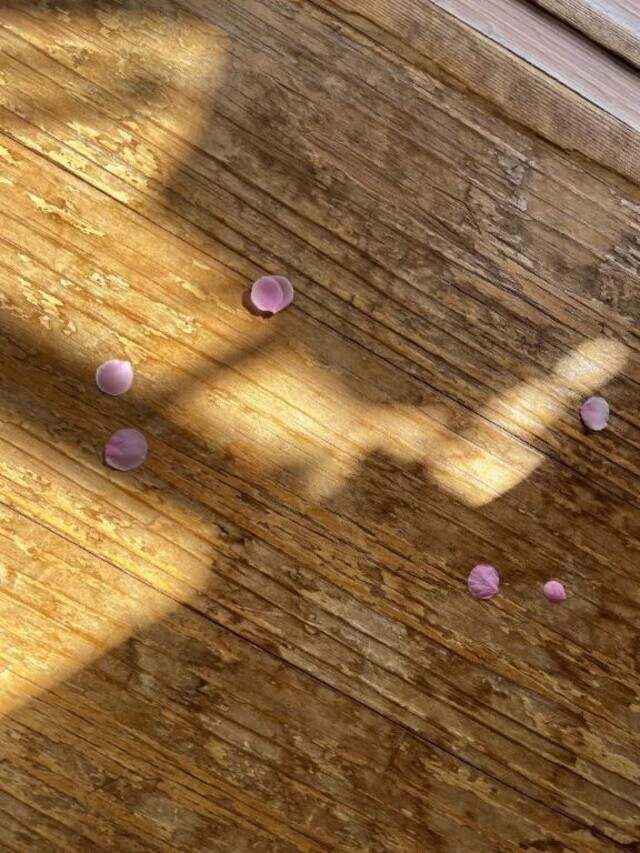 残り香🌸｜写メ日記｜菊池祈里(きくちいのり)｜鶯谷 人妻デリヘル 鶯谷ナンバーワン