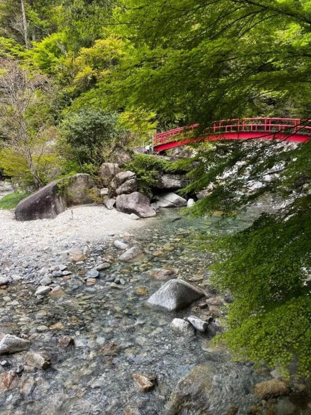 弾丸っ🚄｜写メ日記｜菊池祈里(きくちいのり)｜鶯谷 人妻デリヘル 鶯谷ナンバーワン