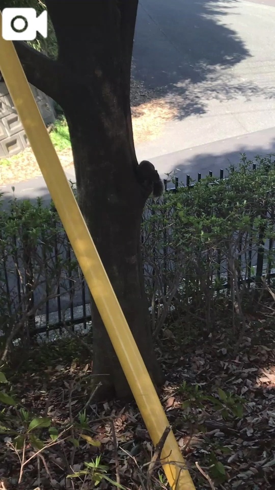 ちょっと特別な瞬間🐿️✨