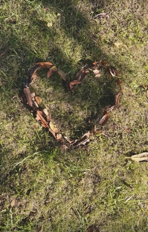 🧸昨日の御礼🧸｜写メ日記｜篠原真凛(しのはらまりん)｜鶯谷 人妻デリヘル 鶯谷ナンバーワン