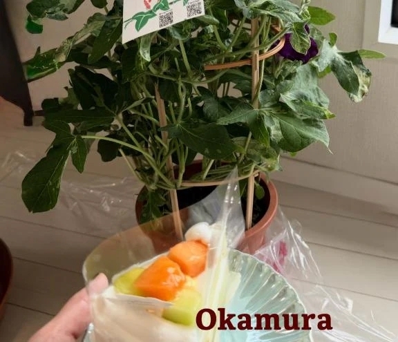 他の子の・・・｜写メ日記｜岡村瞳(おかむらひとみ)｜鶯谷 人妻デリヘル 鶯谷ナンバーワン
