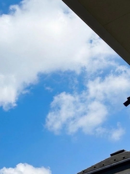 おはよう☀️｜写メ日記｜今野りん(こんのりん)｜鶯谷 人妻デリヘル 鶯谷ナンバーワン
