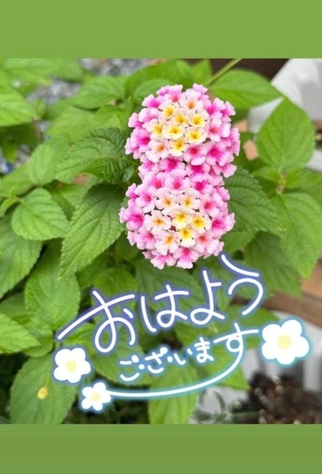 久しぶり｜写メ日記｜今野りん(こんのりん)｜鶯谷 人妻デリヘル 鶯谷ナンバーワン