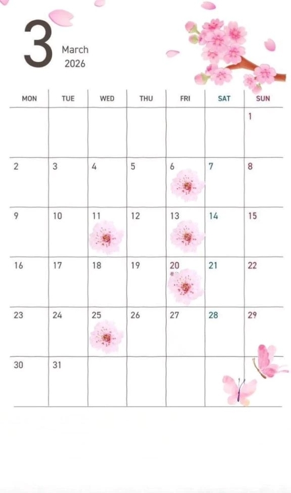 🌸3月スケジュール｜写メ日記｜星月桜(ほしづきさくら)｜鶯谷 人妻デリヘル 鶯谷ナンバーワン