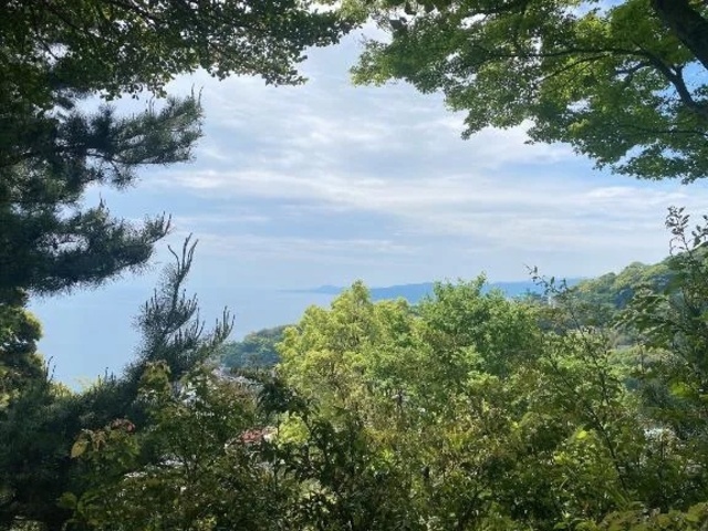 私もまだまだこれから。｜写メ日記｜石井しおり(いしいしおり)｜鶯谷 人妻デリヘル 鶯谷ナンバーワン