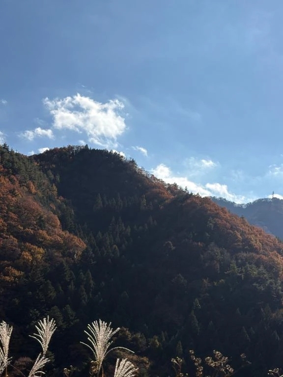 🚗 今日はちょっと遠出 🚗