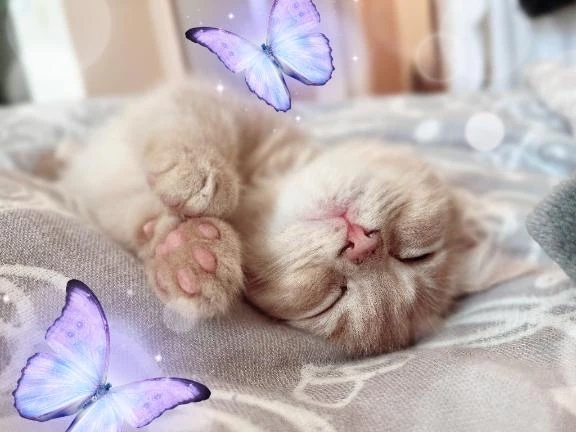 ♡ありがとう&本日も♡｜写メ日記｜日下部りょう(くさかべりょう)｜鶯谷 人妻デリヘル 鶯谷ナンバーワン